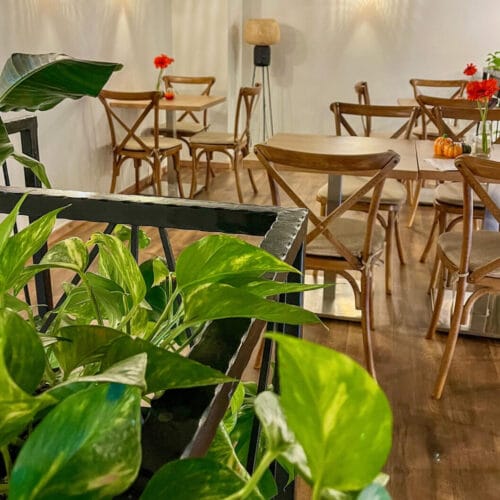 A Zuzu cafe&bakery belső tere növényekkel és fa székekkel